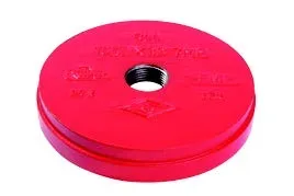 TAPON C/ SALIDA 1" RANURA (HIERRO DUCTIL) MECH - P300